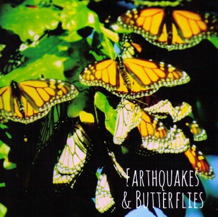 Earthquakes-and-butterflies-book-cover