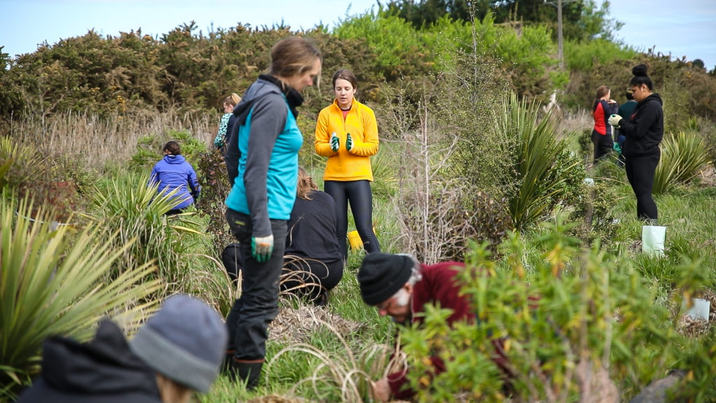 TE-WAIHORA-planting